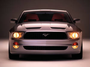 stang2.jpg
