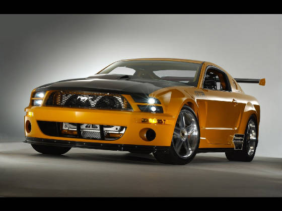 stang3.jpg