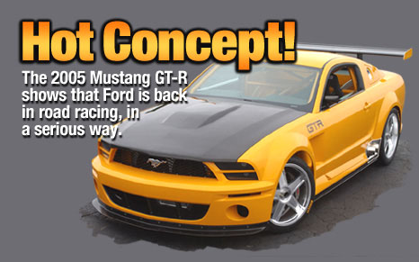 stang5.jpg